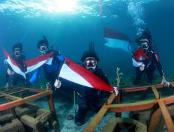 Peringati HUT RI, Harita Nickel Tanam Terumbu Karang di Laut Obi