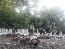 Pembuatan Tetrapod Pemecah Ombak Pelabuhan Hiri Terlambat