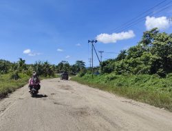 Proyek Jalan Rp 50 Miliar Milik BPJN Maluku Utara Terbengkalai