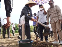 Buka Musrenbangtan 2023 di Halbar, Gubernur Malut Harap Bibit Diserahkan Tepat Sasaran