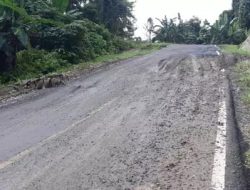 Baru 1 Tahun Dikerjakan, Jalan Sagea- Patani Kuras Anggaran Rp 136 Miliar Rusak Parah