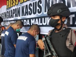 Polda Malut Ciduk Tiga Pengedar Ganja dan Gorilla di Kabupaten Berbeda