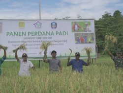 Melalui Program Sentani, Harita Wujudkan Ketahanan Pangan Obi