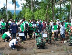 Harita Nickel Dukung Pelestarian dan Rehabilitasi Hutan Mangrove
