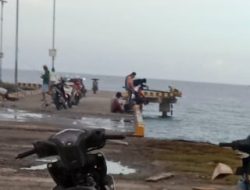 Pemprov akan Bangun Pelabuhan Peti Kemas di Lahan Eks PT Darko
