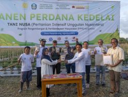 Petani Binaan Harita Nickel Panen Kedelai 2,9 Ton Lampaui Produktivitas Nasional
