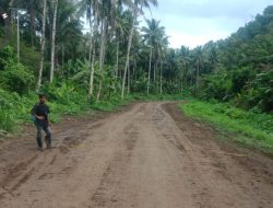 PUPR Malut Optimis Pekerjaan Jalan Ibu-Kedi Tuntas Tahun Ini