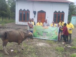 Sambut Idul Adha, NHM Salurkan 61 Hewan Kurban di Lingkar Tambang
