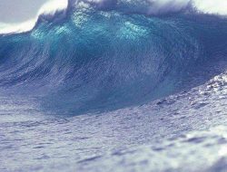 Maluku Utara Potensi Tsunami, Masyarakat Diimbau Waspada