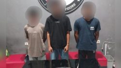 Polres Tidore Berhasil Bekuk Tiga Pelaku Narkoba Bersama Barang Bukti  