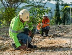 NHM Pulihkan 232,69 Hektar Lahan Bekas Tambang