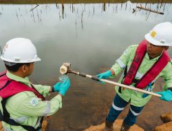 Mengelola Limpasan di Tengah Hujan Tropis, Tantangan Tambang Nikel di Pulau Obi