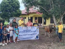 NHM Peduli Salurkan Hewan Kurban ke Masyarakat Lingkar Tambang