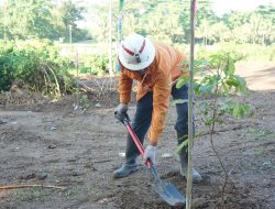Hari Lingkungan Hidup Sedunia 2026, NHM Tanam Pohon Buah dan Serukan Aksi Iklim