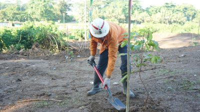 Hari Lingkungan Hidup Sedunia 2026, NHM Tanam Pohon Buah dan Serukan Aksi Iklim