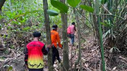 Warga Halut Hilang di Hutan, Tim SAR Dikerahkan Lakukan Pencarian