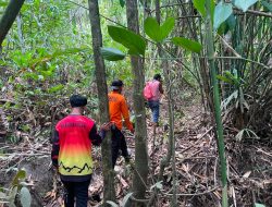 Warga Halut Hilang di Hutan, Tim SAR Dikerahkan Lakukan Pencarian