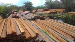 Kayu Ilegal Bebas Masuk Ternate, Kasat Reskrim Tegaskan akan Diselidiki