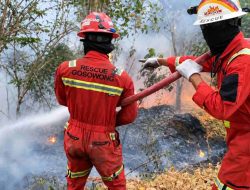 Dari Area Operasional hingga Desa Lingkar Tambang, NHM Tangani Karhutla